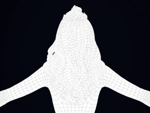 Realistic Female Hair Low-poly 3D Model