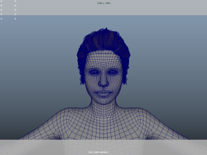 Realistic Female Hair Low-poly 3D Model