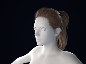 Realistic Female Hair Low-poly 3D Model