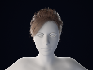 Realistic Female Hair Low-poly 3D Model