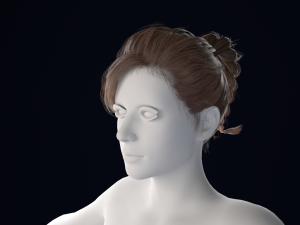 Realistic Female Hair Low-poly 3D Model