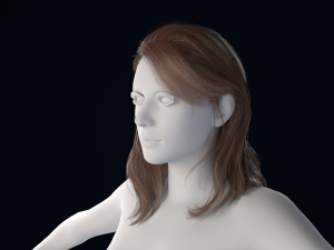 Realistic Female Hair Low-poly 3D Model