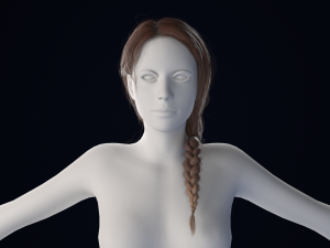 Realistic Female Hair Low-poly Model 3D