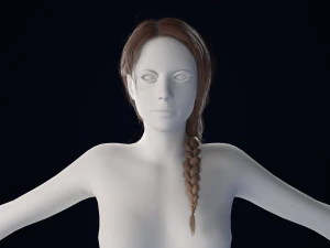 Realistic Female Hair Low-poly 3D Model