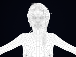 Realistic Female Hair Low-poly Model 3D