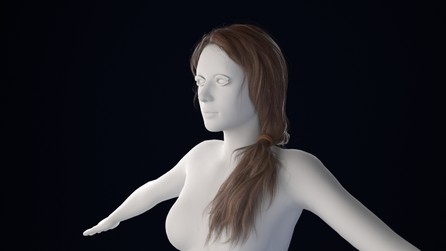 Realistic Female Hair Low-poly 3D Model .c4d .max .obj .3ds .fbx .stl .blend 