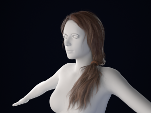 Realistic Female Hair Low-poly 3Dモデル