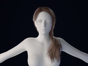 Realistic Female Hair Low-poly 3D Model