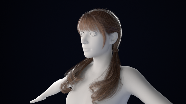 逼真的女性头发低聚 3D 模型 .c4d .max .obj .3ds .fbx .stl .blend 