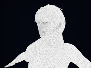 逼真的女性头发低聚 3D 模型