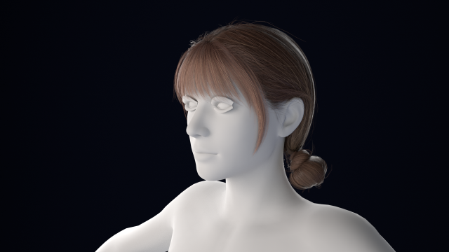 Realistic Female Hair Low-poly Model 3D .c4d .max .obj .3ds .fbx .stl .blend 