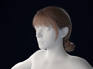 Realistisches weibliches Haar Low-Poly 3D Modell