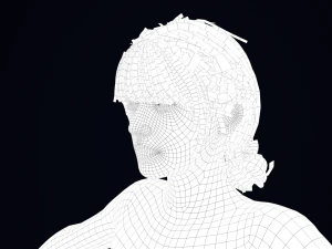 Realistic Female Hair Low-poly 3D Model