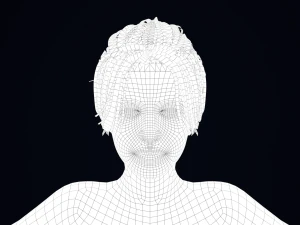 Realistic Female Hair Low-poly 3D Model