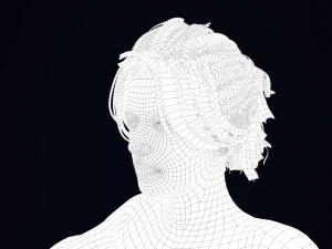 Realistic Female Hair Low-poly 3D Model