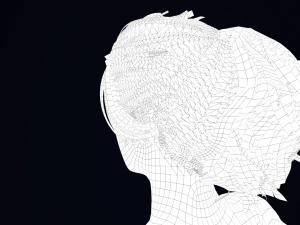 Realistic Female Hair Low-poly 3D Model