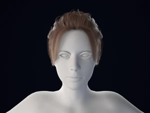 Realistic Female Hair Low-poly 3D Model
