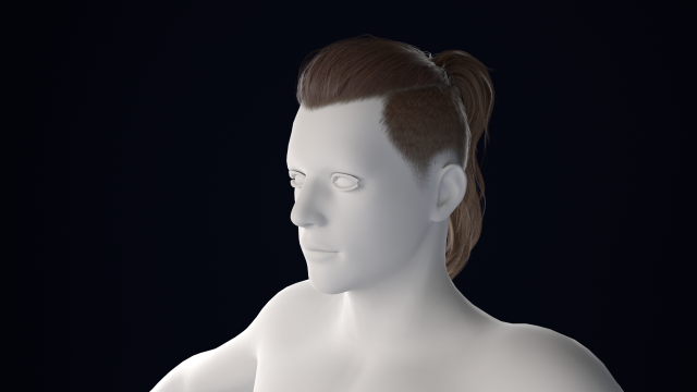 Realistic Male Hair Low-poly 3D Model .c4d .max .obj .3ds .fbx .stl .blend 