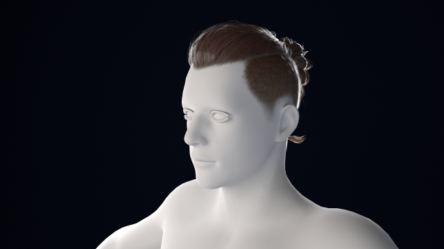 Realistic Male Hair Low-poly 3D Model .c4d .max .obj .3ds .fbx .stl .blend 
