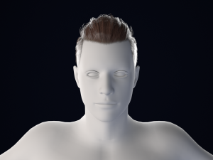 Realistic Male Hair Low-poly 3D Model