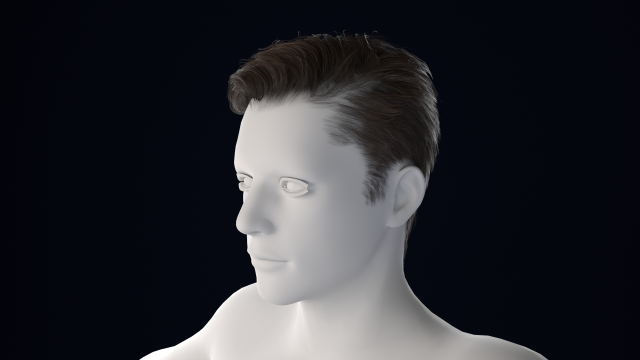 Realistic Male Hair Low-poly 3D Model .c4d .max .obj .3ds .fbx .stl .blend 