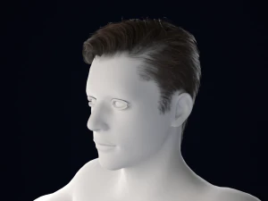 Realistic Male Hair Low-poly 3D Model