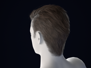 Realistic Male Hair Low-poly 3D Model