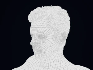 Realistic Male Hair Low-poly 3D Model