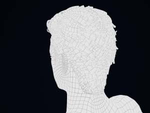 Realistic Male Hair Low-poly 3D Model