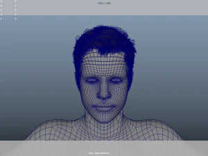 Realistic Male Hair Low-poly 3D Model