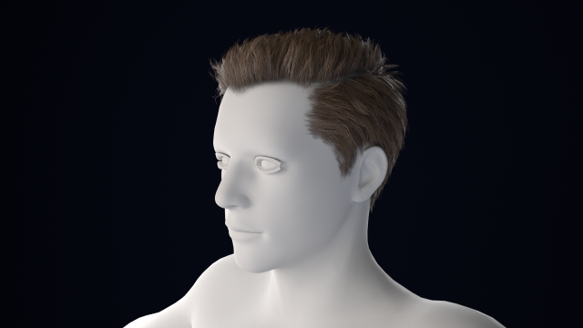 Realistic Male Hair Low-poly Modelo 3D .c4d .max .obj .3ds .fbx .stl .blend 