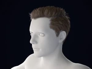 Realistic Male Hair Low-poly 3D Model