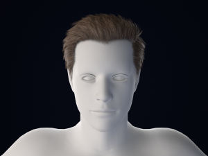 Realistic Male Hair Low-poly Modelo 3D