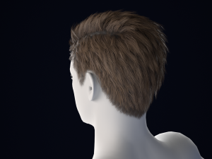 Realistic Male Hair Low-poly Modelo 3D