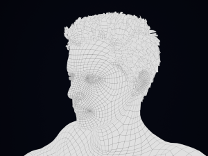 Realistic Male Hair Low-poly Modelo 3D