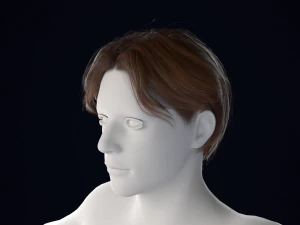 Realistic Male Hair Low-poly 3D Model