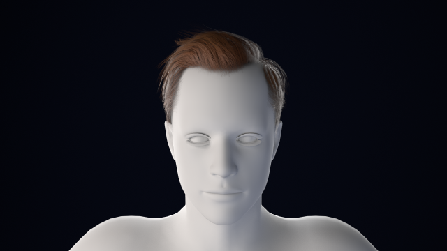 Realistic Male Hair Low-poly 3D 模型 .c4d .max .obj .3ds .fbx .stl .blend