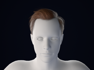 Realistic Male Hair Low-poly 3Dモデル