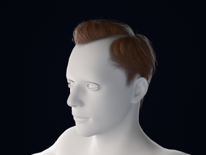 Realistic Male Hair Low-poly 3D 模型