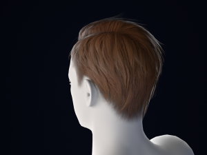 Realistic Male Hair Low-poly 3D 模型