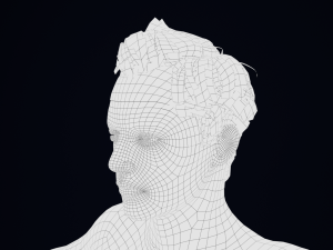 Realistic Male Hair Low-poly 3D 模型