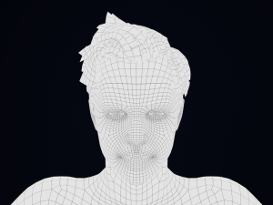 Realistic Male Hair Low-poly 3D 模型