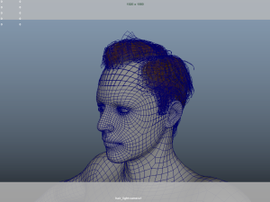Realistic Male Hair Low-poly 3D 模型