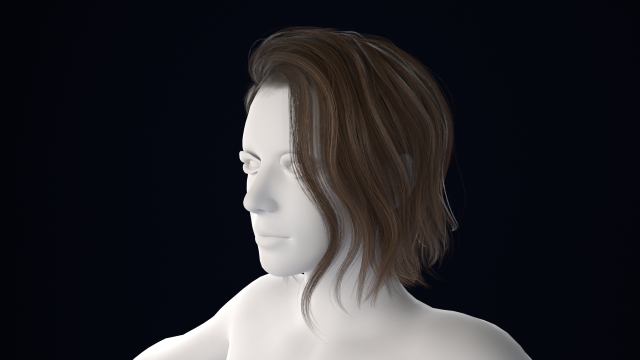 Realistic Male Hair Low-poly Model 3D .c4d .max .obj .3ds .fbx .stl .blend 
