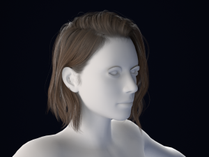 Realistic Male Hair Low-poly Model 3D