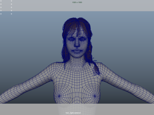 Realistic Female Hair Low-poly Modèle 3D