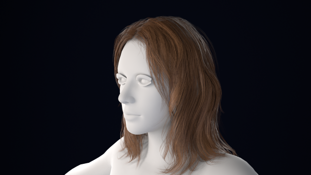 Realistic Female Hair Low-poly Modelo 3D .c4d .max .obj .3ds .fbx .stl .blend 
