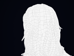 Realistic Female Hair Low-poly Modelo 3D