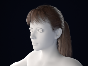 Realistic Female Hair Low-poly 3Dモデル