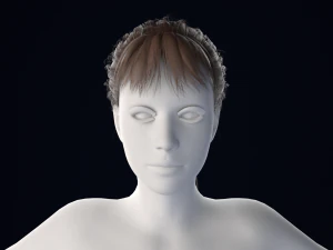 Realistic Female Hair Low-poly 3D Model
